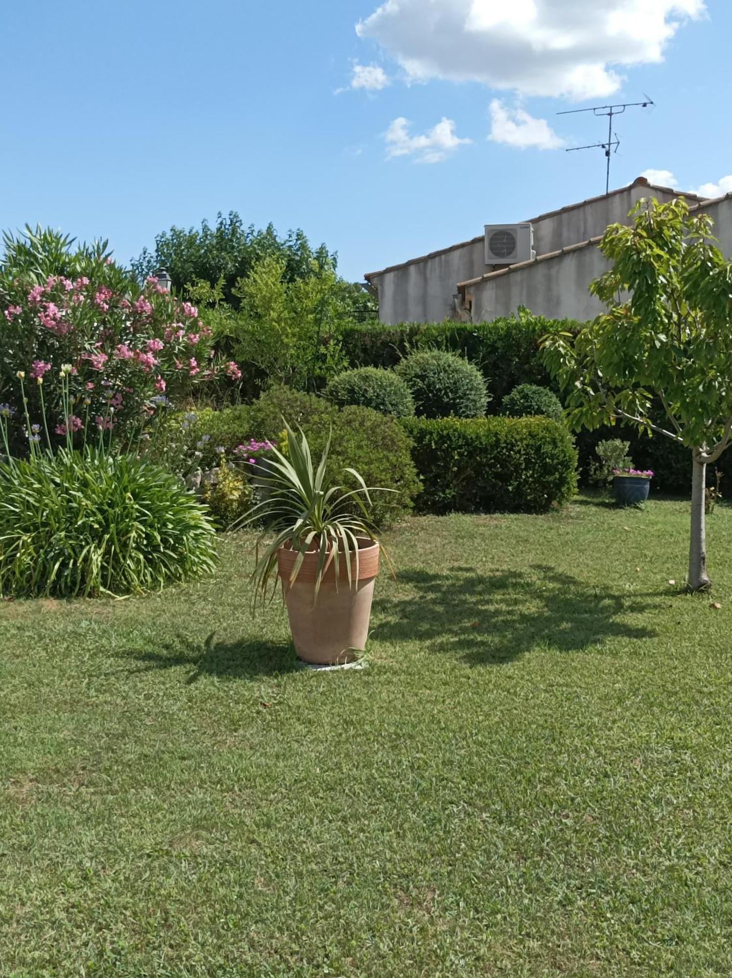 Chambre D'Hote Au Coeur Des Alpilles มูริแยส ภายนอก รูปภาพ