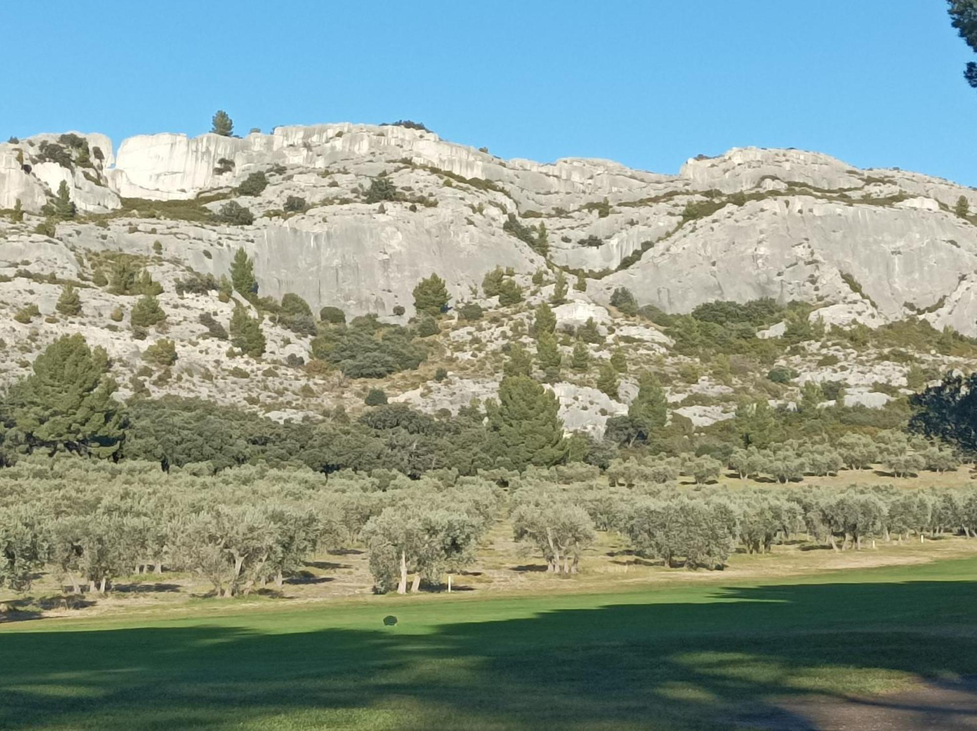 Chambre D'Hote Au Coeur Des Alpilles มูริแยส ภายนอก รูปภาพ
